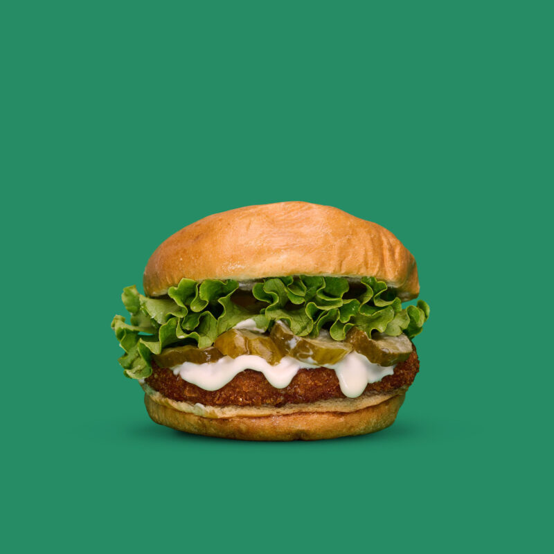 VEGGY CHICKEN